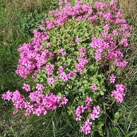 Magnifique T5 Avec Grande Terrasse, A 400m De La Plage Saint-Nazaire (Loire-Atlantique)